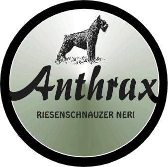Anthrax_tras2